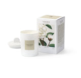 Theorie Botanique - Camélia Blanc Candle