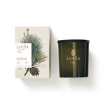 Lucia Les Saison -  No. 25 Douglas Pine Candle